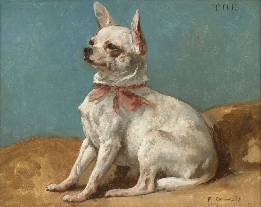 Ritratto del chihuahua Toc, 1875